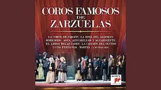 Gigantes y Cabezudos: Coro de Repatriados