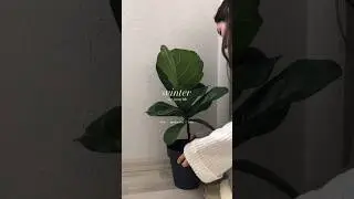 how being a homebody looks like (but in winter) #wintervlog #dayinmylife