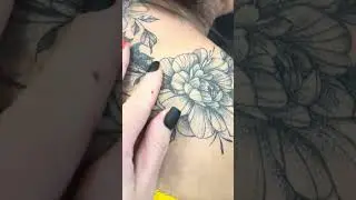 How a Tattoo Heals &mdash; Real Stages #tattoo #matbon #inked #art #artist #tattooparlor  #tattoofun