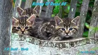 F R  David   Words - Disco 80 - EuroDance - Old Music