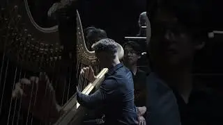 Harpist Xavier De Maistre #harp #harpist #classicalmusic #strings #orchestra #symphony