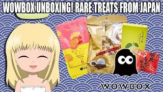 RARE TREATS FROM JAPAN! - Wowbox Unboxing!