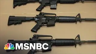 Addressing America&rsquo;s Gun Violence Crisis Beyond Mass Shootings