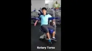 Rotary Torso