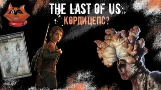 THE LAST OF US. Кордицепс. Почему у Элли иммунитет?
