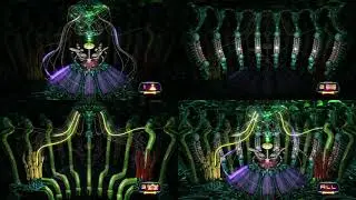 Fiber Bundles - Quad-View - Animusic