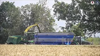JD 8600i & 3 Fendt 718 + Visini - Malgherosse Ruggeri - Trinciatura triticale 2024