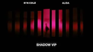 Syn Cole & Alida - Shadow (VIP Mix) [Visualizer] [Helix Records]