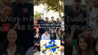 Our employees Наши Работники #europe # employees #внж #визы #work #visas