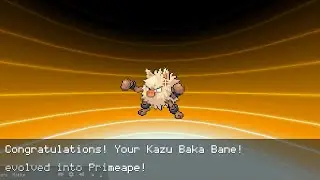 Let's Play LIVE & Reloaded - Pok&eacute;MMO Fire Red 2K REDUX Part 21 GYM TRAINING