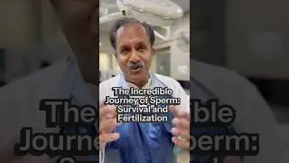 The Incredible Journey of Sperm: Survival and Fertilization