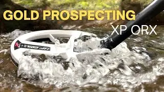 Gold Prospecting XP ORX