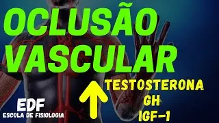 Oclusão vascular