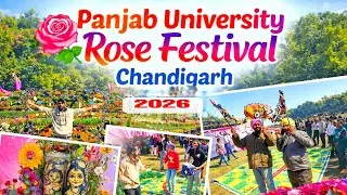 Punjab University Rose Festival | Rose Festival 2026 | Punjab University Chandigarh   