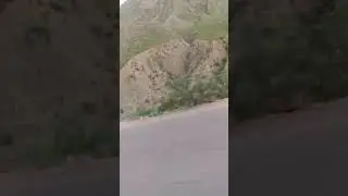 fort munroo hills