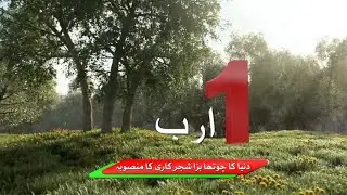 Billion Tree Tsunami | TVC | KP