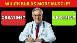 Seniors: Creatine vs Protein After 60 – Which Builds More Muscle? | Senior Health