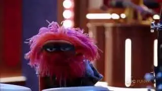 Animal - Too many women, too many towns