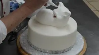 Whipped Cream Creation of Pig & Piglets   3D Animal Cake