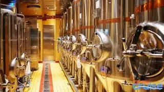 Carnival Hops on Craft Beer Craze with Vista's Brewery