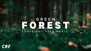 Green Forest Copyright free Music / No Copyright Background Music / Nature Relaxing Music /CRF Music