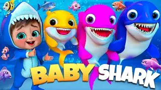 Baby Shark Dance Doo | Baby Shark Remix | Animal Songs for Kids | Baby Shark Kids #nurseryrhymes