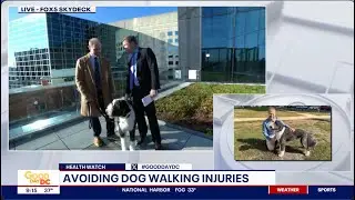 As Seen on Fox5 DC: Dog Walking and Back Injuries - Tips to Stay Pain-free