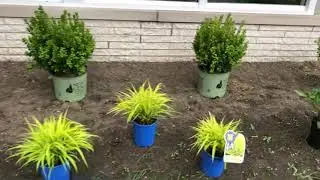 Wednesday's With Wayne- Plant Design Layout