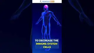 The Surprising Truth: How Plaquenil Transforms Rheumatoid Arthritis