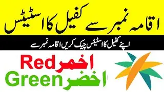 How to Check kafeel Status green red yellow new update 2021