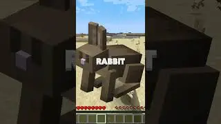 It's so USELESS - Rabbit Hide