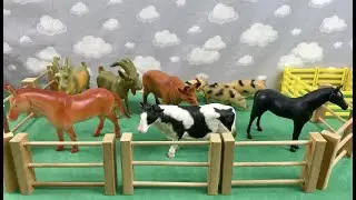 TRACTOR, TRAILER, TRUCK, COW, OX, HORSE, SHEEP, DOG/CARRETA, TRATOR, CAVALO, VACA, BOI, GALO