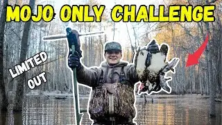 The MOJO ONLY DUCK HUNTING CHALLENGE (Catch Clean Cook)
