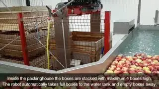 Packing / Sorting apples at Daniels Frukt, Åland Finland