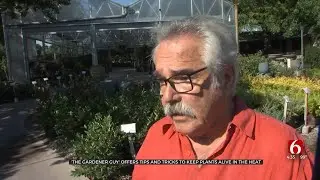 'The Gardener Guy' Shares Tips On Keeping Your Garden Hydrated Amid The Summer Heat