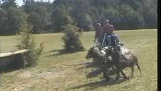 The CDE at Inavale 2009