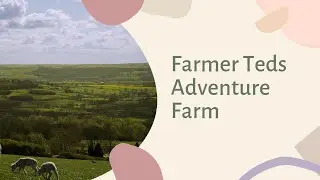 Выходные в Англии. Посетили Farmer Teds Adventure Farm.