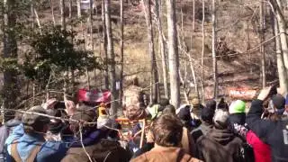 2013 Hog Wild Shootout 