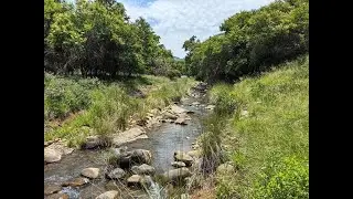 Aquatic habitat and ecology of a Crocodile River headwater stream