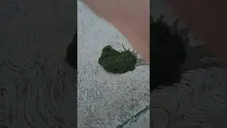 Draganje mahovibe😄