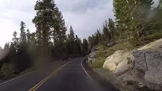 Sequoia National Park - Generals Highway Spring 2021
