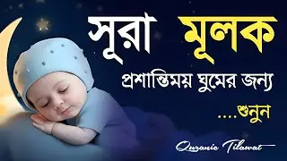 ঘুমানোর আগে এই তেলাওয়াত শুনুন সূরা আল মূলক খুব সুন্দর তেলাওয়াত | Surah Mulk Bangla - Shamsul Haque