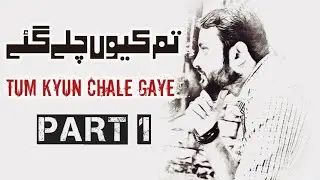 Tum Kyun Chale Gaye | تم کیوں چلے گئے | Part 1 | Urdu Poetry | Hindi Poetry | Sad Poetry