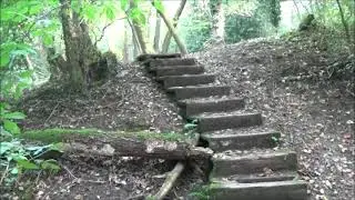ERCALL WOOD NATURE RESERVE TELFORD