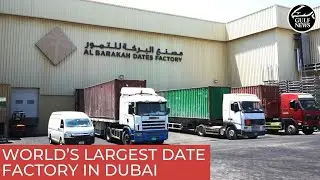 World&rsquo;s largest date factory in Dubai Industrial City | UAE news