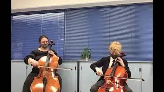 Perpetual Motion by Shinichi Suzuki performed by Joey Noonan