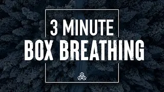 3 Minute COLD PLUNGE Breathing Exercise