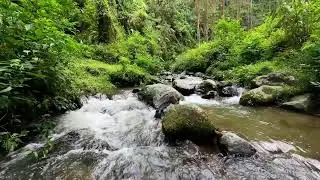 Soothing river sound by soft moving water keeping peaceful deep sleep steady through quiet nights