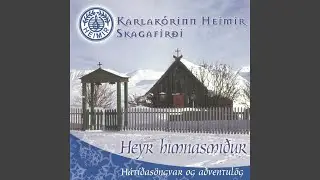 Austurdalur