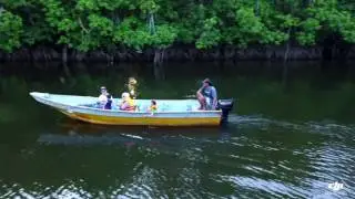 Mangrove river cruise cherating